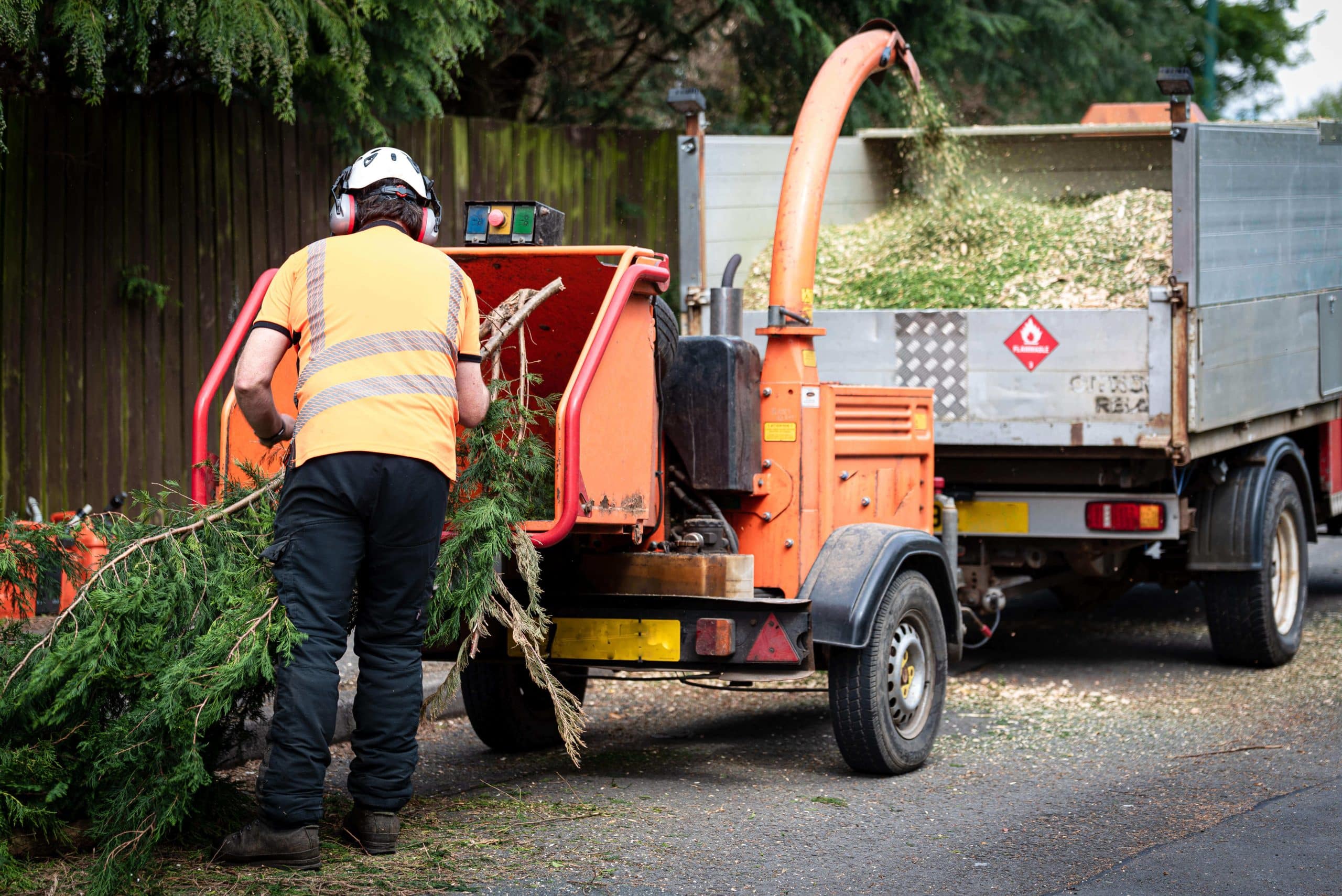Tree Stump Grinding/Removal New Cross SE14